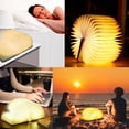 thumbnail image 5 of Lámpara LED plegable de madera para libros, luz nocturna de 5 colores, ideal para dormitorio, hogar y oficina, recargable por USB, plegable 360°, arce blanco (10 x 8 x 2,5 cm), 5 of 5