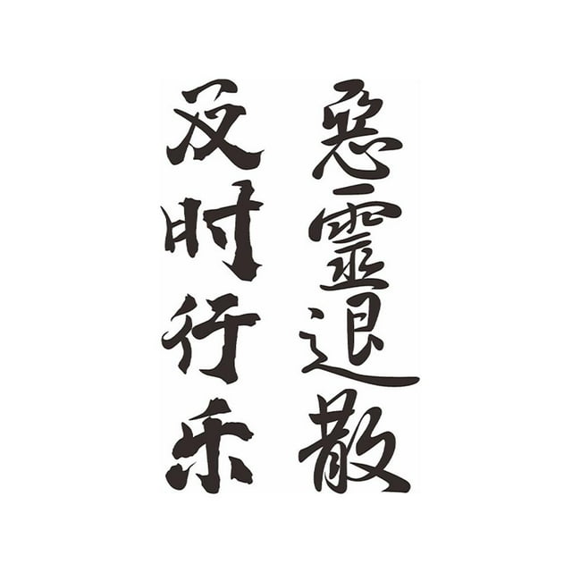 YSABOXY Chinese Character Tattoo Stickers Waterproof Sweat Poetry Chinese N1