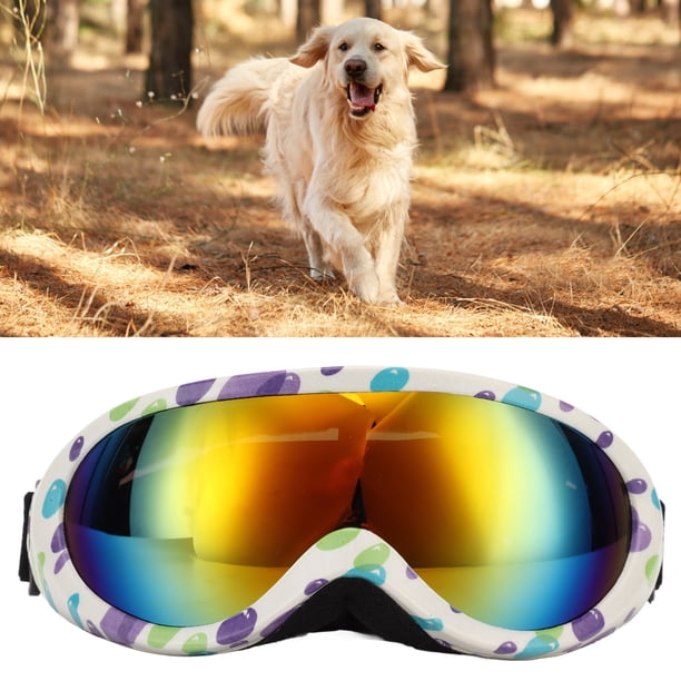 Gafas de Sol para Perros, Gafas para Perros Con Protección UV, Protección Contra Rayos UV, Viento, Polvo y Niebla, Gafas para Mascotas con Correa Ajustable para Perros, Lentes