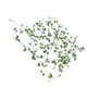 thumbnail image 4 of Guirnalda de luces artificiales con hojas verdes de arce para decoración de patio al aire libre, USB con control remoto, 100 luces, 10 m, 4 of 14