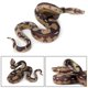 thumbnail image 3 of Tholdsy 2 piezas de juguetes de serpiente de simulación pitón dorado aterrador realista falso Reptiles de juguete regalo de Juguetes, 3 of 6