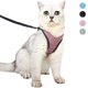 thumbnail image 1 of Arnés y correa ultraligeros para gatos, suave y cómodo collar de gatito, chaqueta para caminar para gatos, a prueba de fugas, apto para cachorros de conejo (rosa, S) Ormromra GX-237, 1 of 5