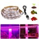 thumbnail image 1 of Moyic Tira de luces LED de espectro completo de 5V 60LED/M 2835 luces de cultivo USB lámparas de plantas hidropónicas 0,5 M/1M/2M/300CM Iluminación y accesorios Moyic HA021902-00, 1 of 5