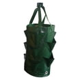 thumbnail image 1 of 3 Gallon PE Strawberry Bag - Visualization Pockets, Reinforced Handle, Reusable - for Gardening Patio Balcony, 1 of 1