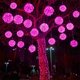thumbnail image 1 of Luces solares para exteriores, decorativas, impermeables, embellecimiento del jardín, 1 of 6