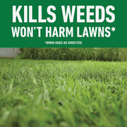 Roundup For Lawns Northern Formula Weed Killer - Pack of 2 — Residential Use, Standard Application