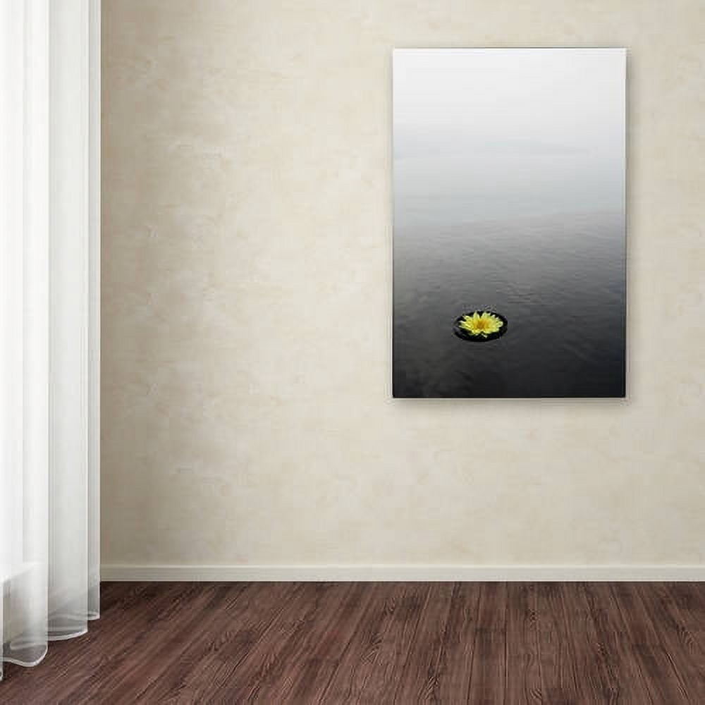 Trademark Fine Art "Zen 20x30 Reversed" Canvas Art by Kurt Shaffer