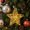 S, variant on Anhility Christmas Star Light Ornament, 5.9", Woven Wire Frame Hanging Star Lamp with Warm Led Lights for Window and Indoor Ceiling Hanging