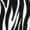 Black, variant on Zebra Women's Straight Lounge Pajama Pants: The Epitome of Relaxed Sleepwear