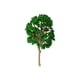 thumbnail image 1 of Naiovety 10 piezas modelo árbol tren paisaje hojas verdes calle diseño carril paisaje habitación calcomanía niños juguete Artificial Decoración del hogar 8.5 cm, 1 of 6