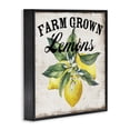 thumbnail image 3 of Stupell Industries Rustic Lodge Farm Grown Lemons Black Framed Giclee Art, 17 x 17, by Creatif Belle, 3 of 8