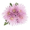 Mother's Day Disbud Bouquet (Fresh Cut Flowers)