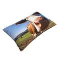 thumbnail image 2 of Fotbe Blue Sky Meadow Cute Cow Pillow Cases - Envelope Closure - Luxury, Extra Soft, Cooling Pillow Covers - Wrinkle, Fade, Stain Resistant-16"x24", 2 of 8