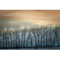 thumbnail image 2 of 1x 24x17 White Modern Wood Framed Museum Art Print Titled - Boguszak - Winter Alley, 2 of 4
