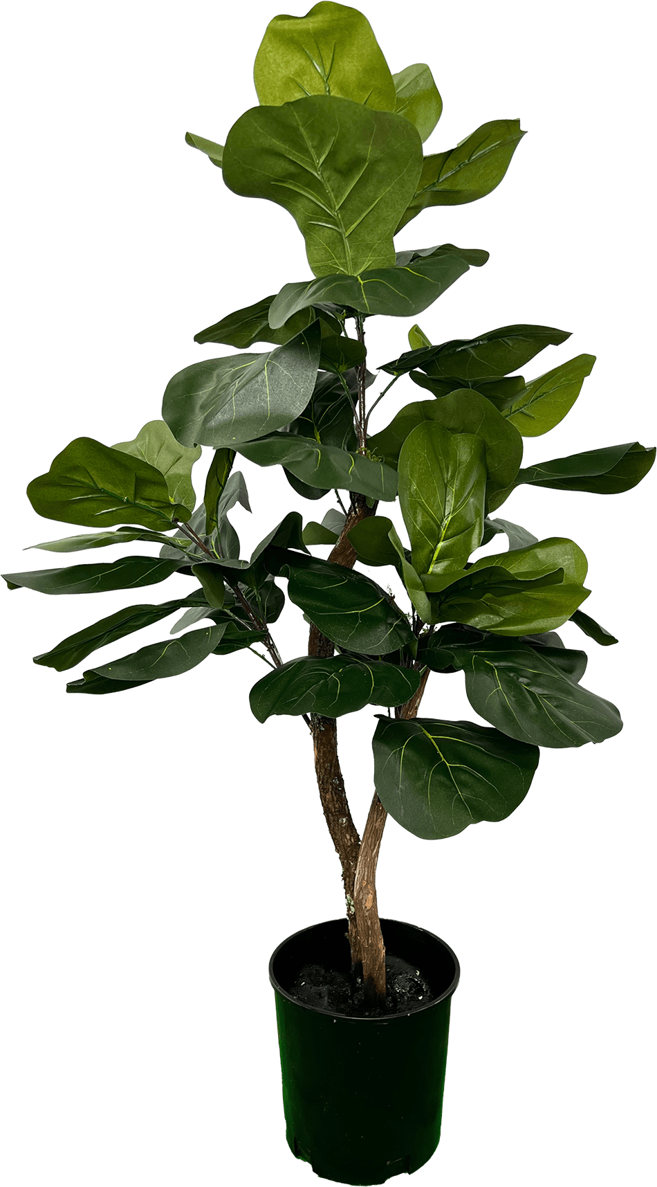Lush 3' Artificial Fiddle Leaf Fig Tree