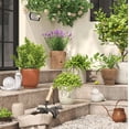 thumbnail image 2 of 5.75" Concrete Bird Outdoor Figurine Gray - Smith & Hawken, 2 of 4