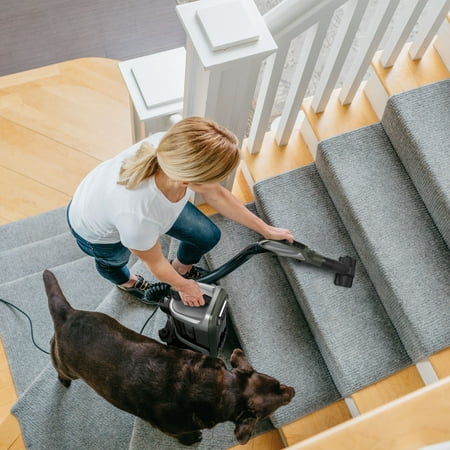 Shark - APEX DuoClean with Self-Cleaning Brushroll Powered Lift-Away Upright Vacuum - Sage