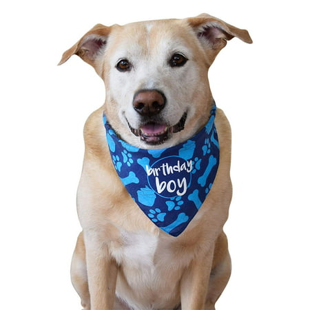 Peroptimist Dog Birthday Bandana Boy Blue Pet Scarf Neckerchief Fashion Accessory For
