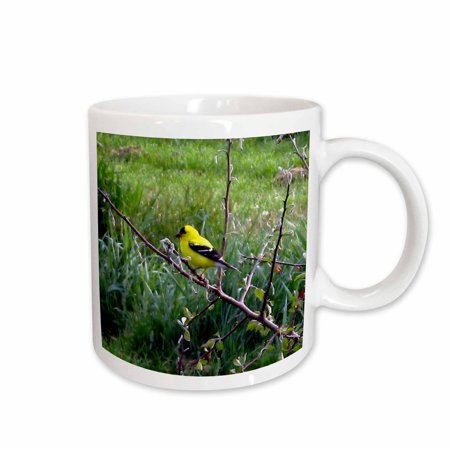 

3dRose Yellow Finch Ceramic Mug 11-ounce