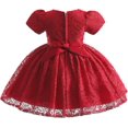 thumbnail image 5 of Toddler Girls Elegant Floral Lace Flower Dress Wedding Baptism Pageant Formal Gown, 5 of 5