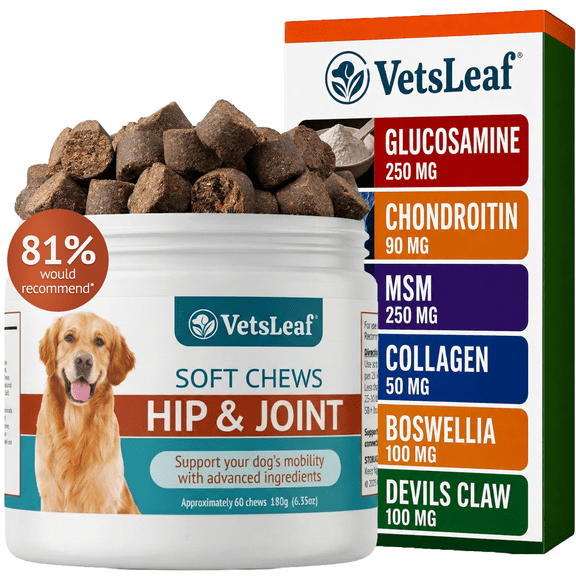 VetsLeaf Dog Hip and Joint Supplement Chews - Glucosamine, Chondroitin & MSM with Collagen, Boswellia & Devils Claw Formula - 6g per Chew - Made in USA - 60 Count