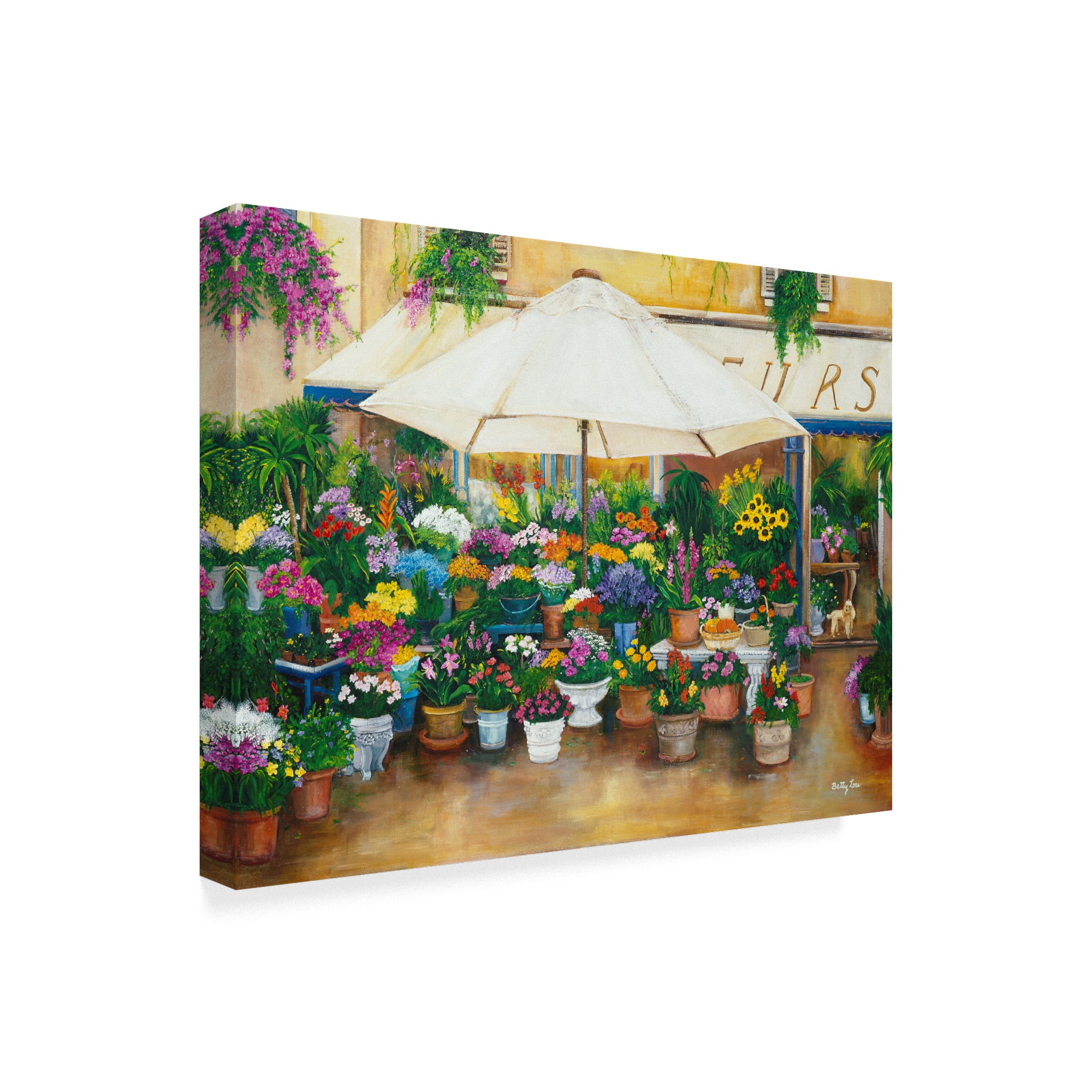 Trademark Fine Art 'Fleurs De Princess' Canvas Art by Betty Lou