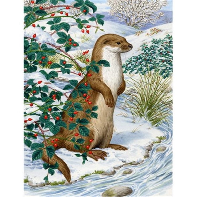 Carolines Treasures ASA2047CHF Drapeau Loutre Toile Taille Maison