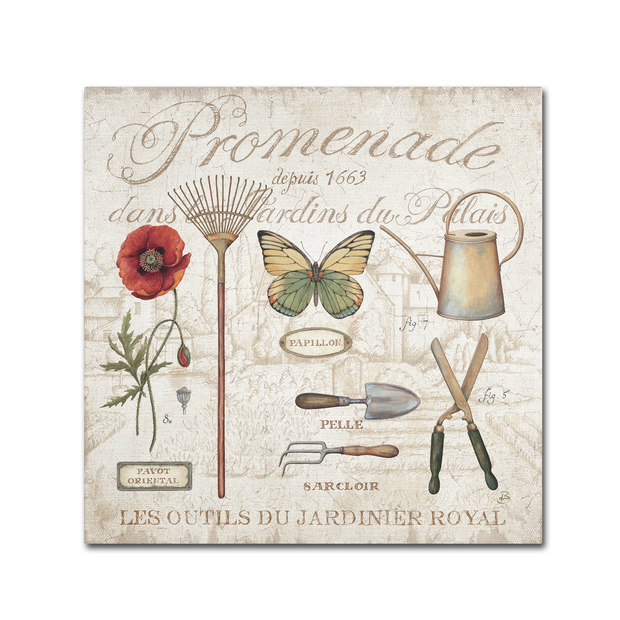 Trademark Fine Art "Royal Garden II" Canvas Art by Daphne Brissonnet
