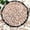 Peach, variant on 2LB Succulent and Cactus Gravel Pebbles, 1/5 Inch White Natural Decorative Polished Stones, River Rocks for Plants, Vases, Aquariums, Terrarium and Outdoor Gardening