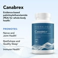 thumbnail image 5 of Theralogix Canabrex Palmitoylethanolamide (PEA) Supplement - 60-Day Supply - Joint Health Supplement for Women & Men - Sleep & Immune Support Supplement - NSF Certified - 120 Capsules, 5 of 7