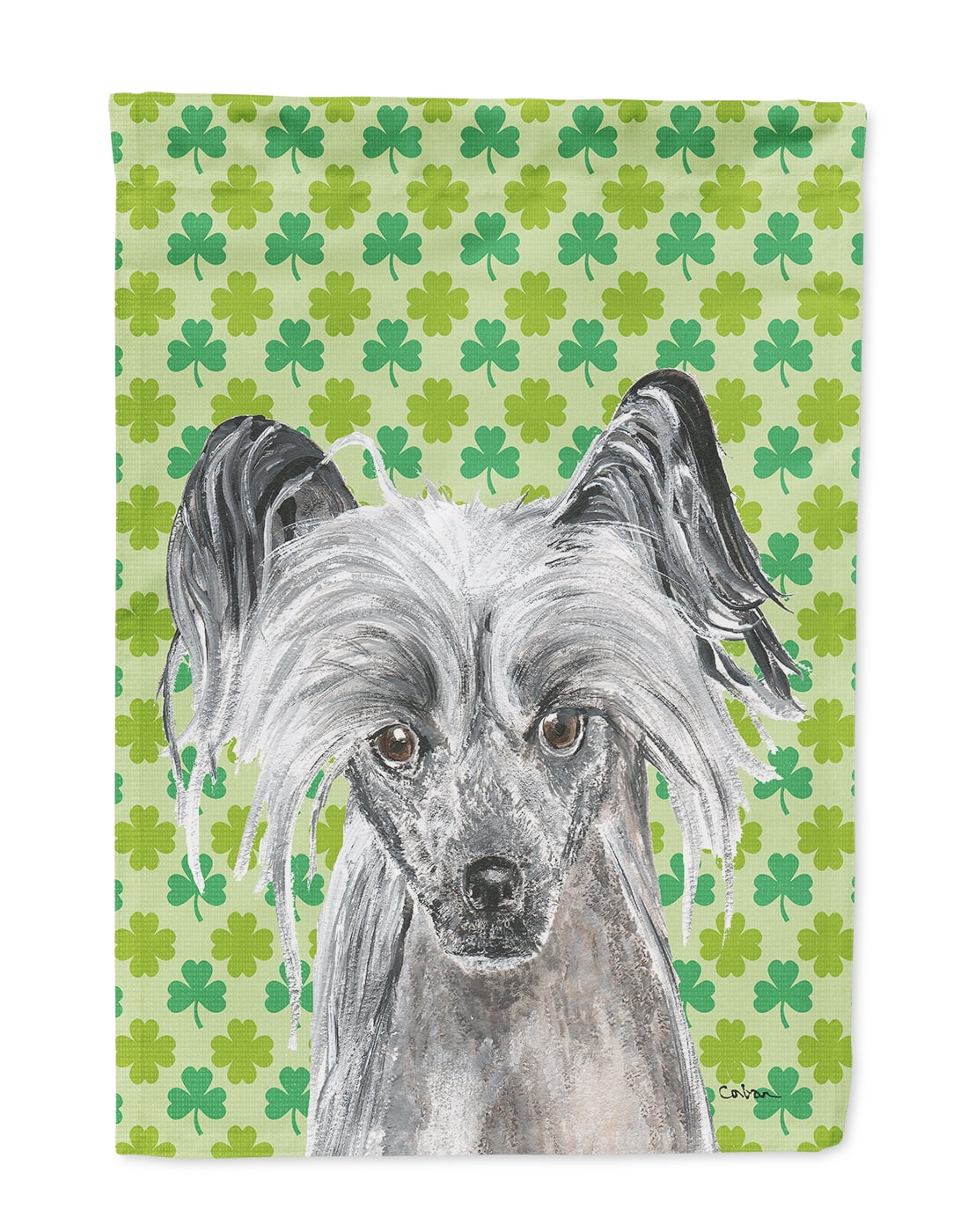 Chinese Crested St Patrick