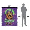 thumbnail image 2 of Scooby Doo! Blanket, 50"x60" Scooby and Shaggy Woven Tapestry Cotton Blend Fringed Throw Blanket, 2 of 6