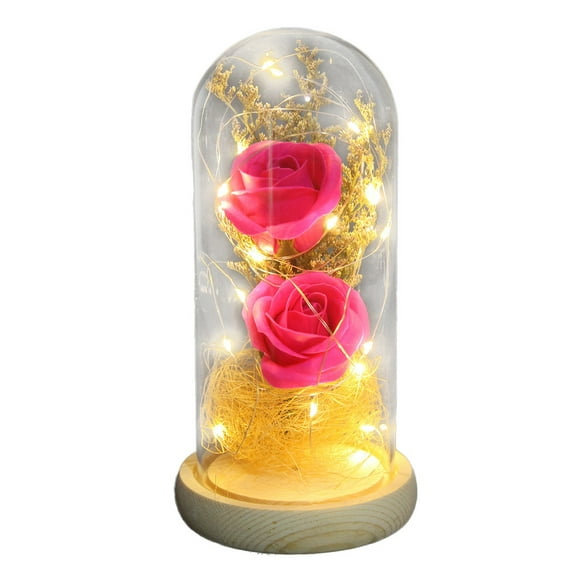 Nmdmisc Eternal Rose Gift for Women,Light Up Rose in Glass Dome,Led Rose Night Light,Valentine's Day Christmas Birthday Gifts for Wife Daughter Sister Friend (Hot Pink)