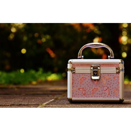 Pink Vanity Cases Briefcase Cute Luggage Silver-11 Inch By 17 Inch Laminated Poster With Bright Colors And Vivid Imagery-Fits Perfectly In Many Attractive Frames