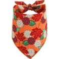 thumbnail image 6 of 2 Pack Fall Dog Bandanas Thanksgiving Bandanas for Cat Triangle Medium Large Dog Scarf Pets Bibs, 6 of 6