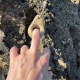 thumbnail image 4 of Wooden Mini Climbing Hangboard Portable Hangboard Finger Trainer Powerful Grip Strengthener Sturdy a, 4 of 5