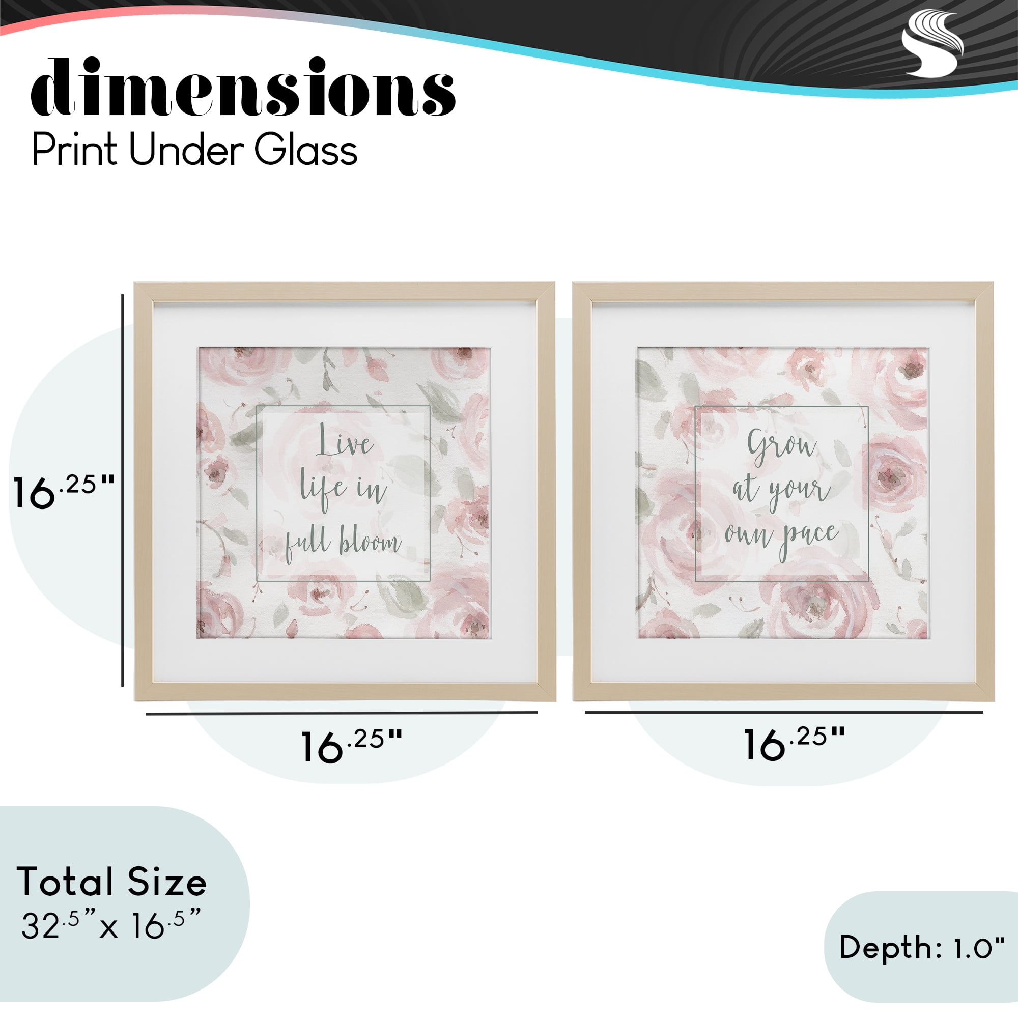 Stupell Industries Full Bloom at Your Pace Florals 2 Piece Birch Framed Print Under Glass Set, design by Carol Robinson