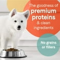 thumbnail image 2 of Canidae 102757 4 lbs Pure Goodness Grain Free Real Salmon & Sweet Potato Recipe Dry Puppy Food - 6 Count, 2 of 3