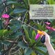 thumbnail image 3 of Plumero De Polvo De Tierra De Diatomeas, Aplicador De Polvo Multiusos Para Jardín, Longitud Ajustable, Uso En Interiores Y Exteriores, 3 of 7