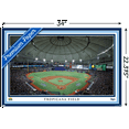 thumbnail image 3 of MLB Tampa Bay Rays - Tropicana Field 22 Wall Poster, 22.375" x 34", 3 of 4