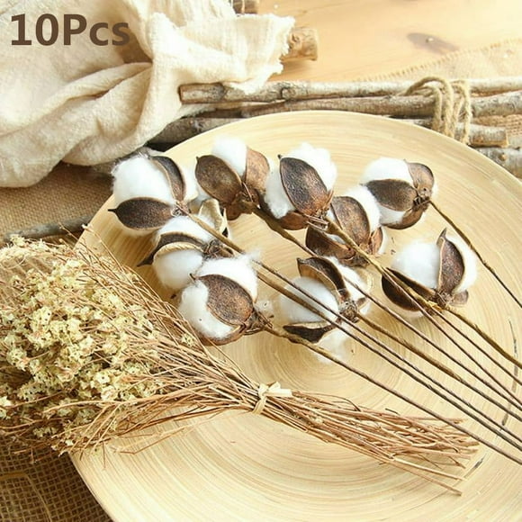 10Pcs Natural White Cotton Stem Flowers Cotton Boll Branches Farmhouse Rustic Style Vase Display Filler Floral Wedding Centerpiece Decorations 23-Inch