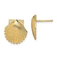 thumbnail image 4 of 14k Yellow Gold 2-D Polished Scallop Shell Post Earrings, 4 of 7
