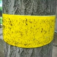 thumbnail image 6 of FindTape Insect Trap Tape [Double Sided]: 8 in. (192mm actual) x 10 in. (Yellow) 20-pack, 6 of 7