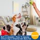 thumbnail image 3 of Pelotas de tenis para perros, paquete de 12 unidades, 6,35 cm, duraderas, no tóxicas, 3 of 9