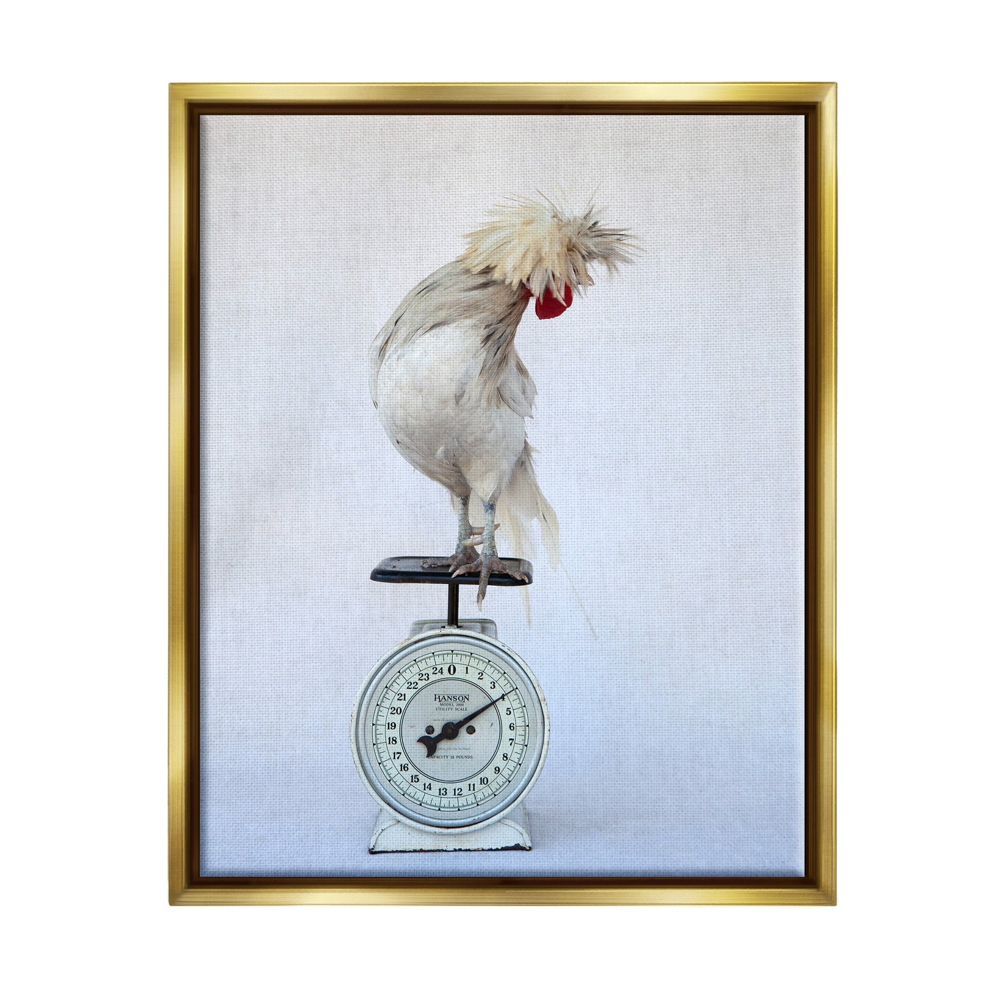 Stupell Industries White Bird Standing Vintage Kitchen Scale Photography Photograph Metallic Gold Floating Framed Canvas Print Wall Art, Design by Tania Soderman