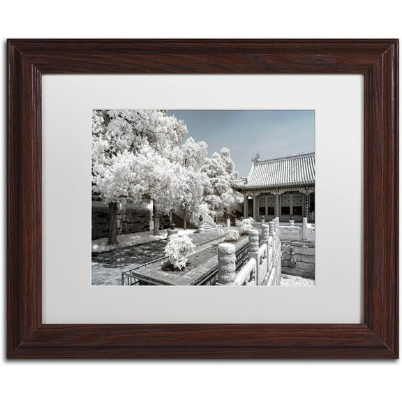 Trademark Fine Art "Reflection" Canvas Art by Philippe Hugonnard, White Matte, Wood Frame