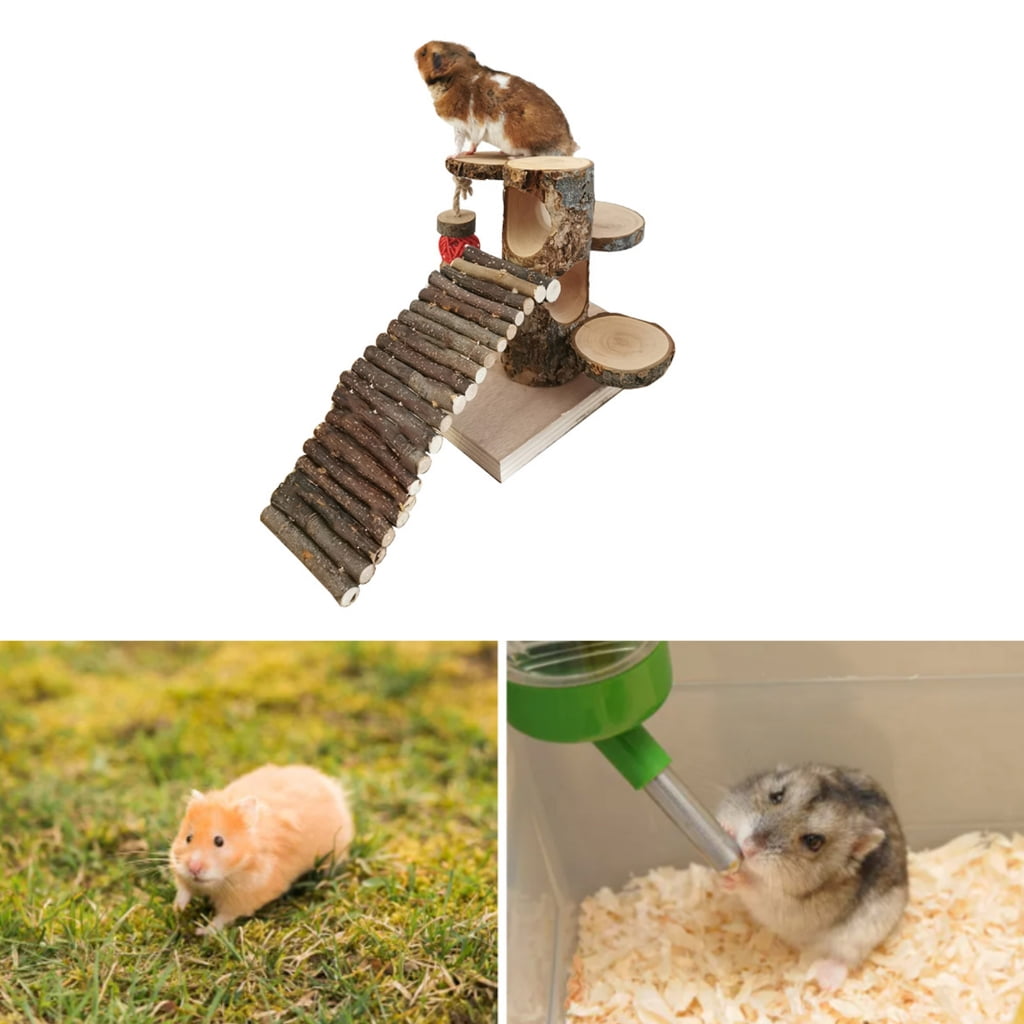 Wood Stackable Hamster Ladder Toy Combo Versatility Exploration Possibilities