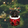thumbnail image 5 of Adornos navideños colgantes, decoración de regalo, lindo perro, árbol de Navidad familiar, colgante de dibujos animados, producto, regalo personalizado, 5 of 5