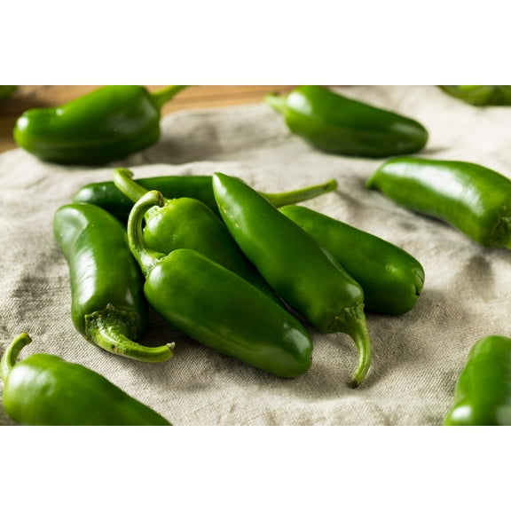 400 Seeds HOT JALAPENO PEPPER Capsicum Annuum Mexican Chili Vegetable Seeds
