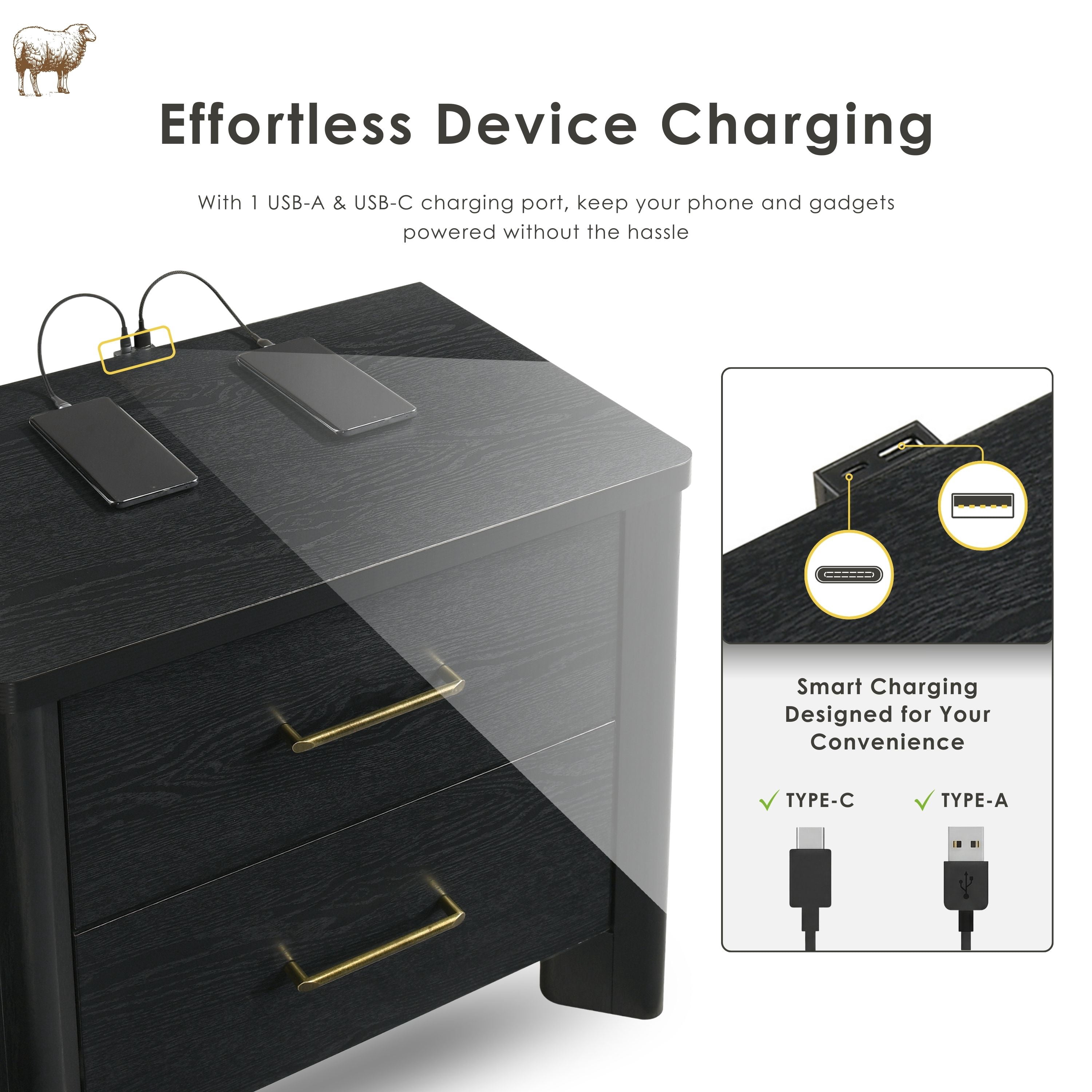 Furniture of America Gracie Modern Wood 2-Drawer Nightstand with USB Ports, Black